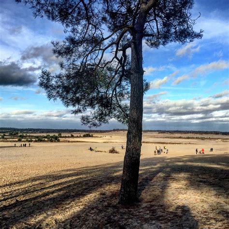 loonse en drunense national park.